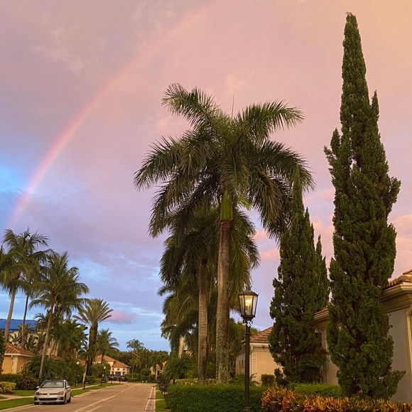 Meet your Posher, Olivia - Picture 1 of 1